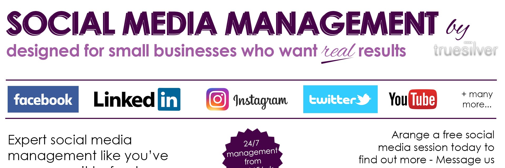 Truesilver WEB/SOCIAL/MARKETING banner