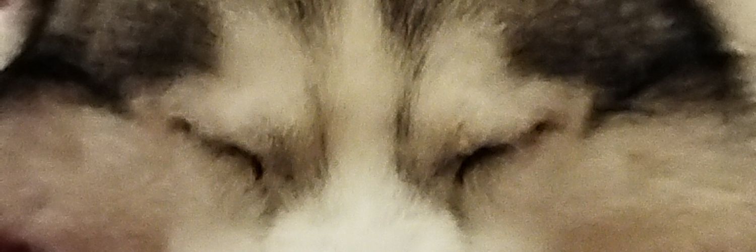 Brisa eterna banner