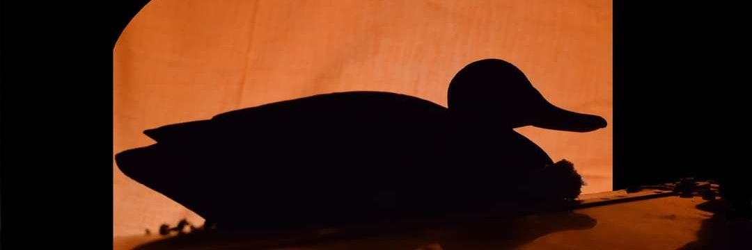 fritzdre's profile banner image
