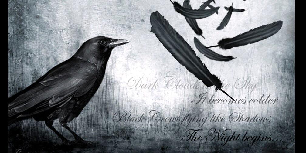 michell bujato banner