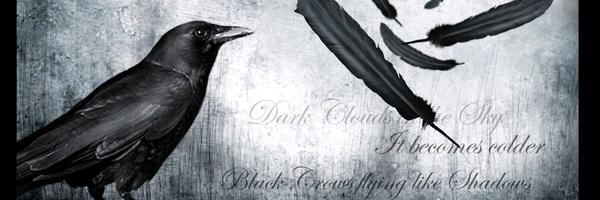 mikevass Profile Banner