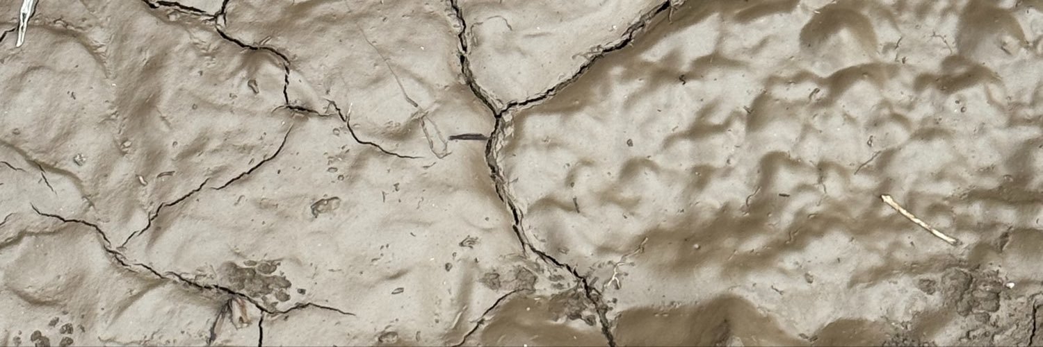 raymondortizz's profile banner image