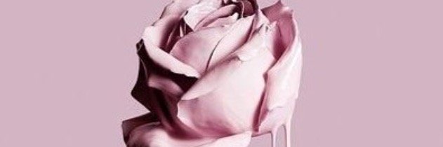 RNITlerin6's profile banner image