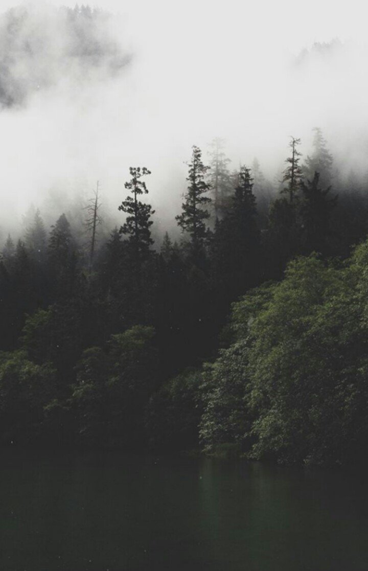 CatYeyo's profile banner image