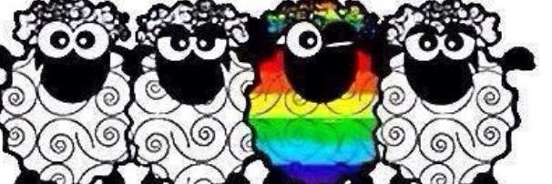 LIGHT IN THE CLOSET banner