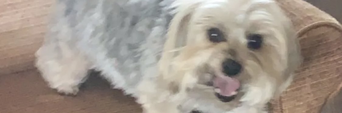 Elizadye's profile banner image