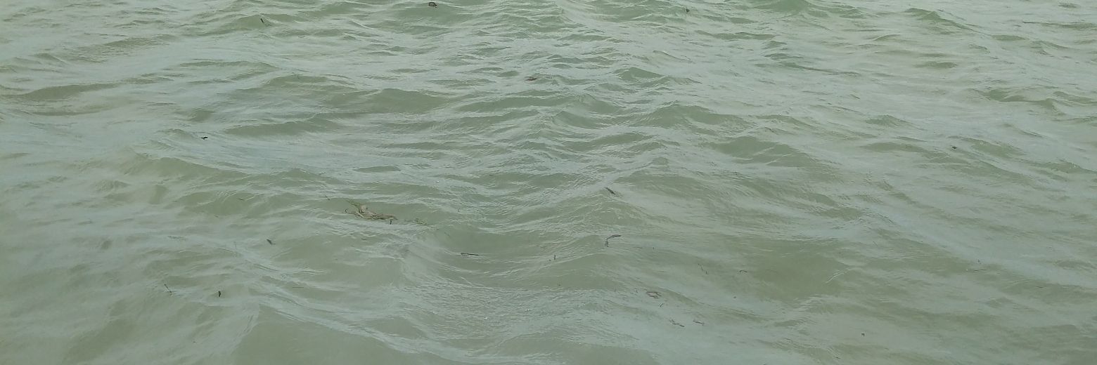 snwanja's profile banner image