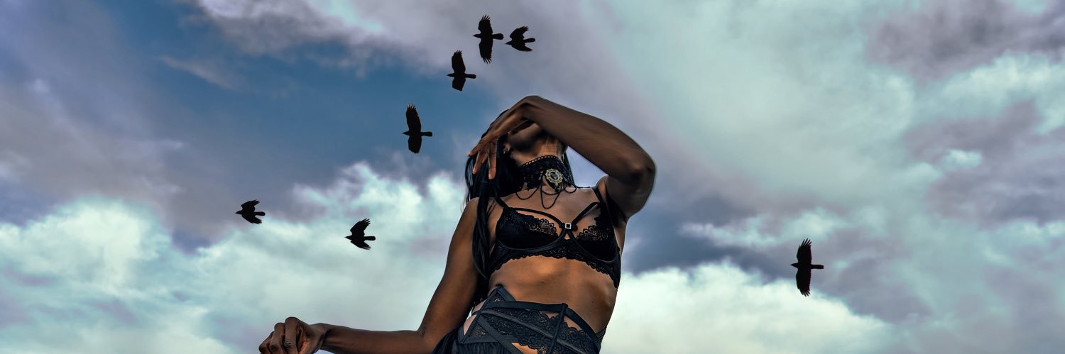 Modtography's profile banner image