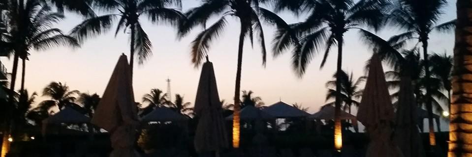 Ms_Finley16's profile banner image