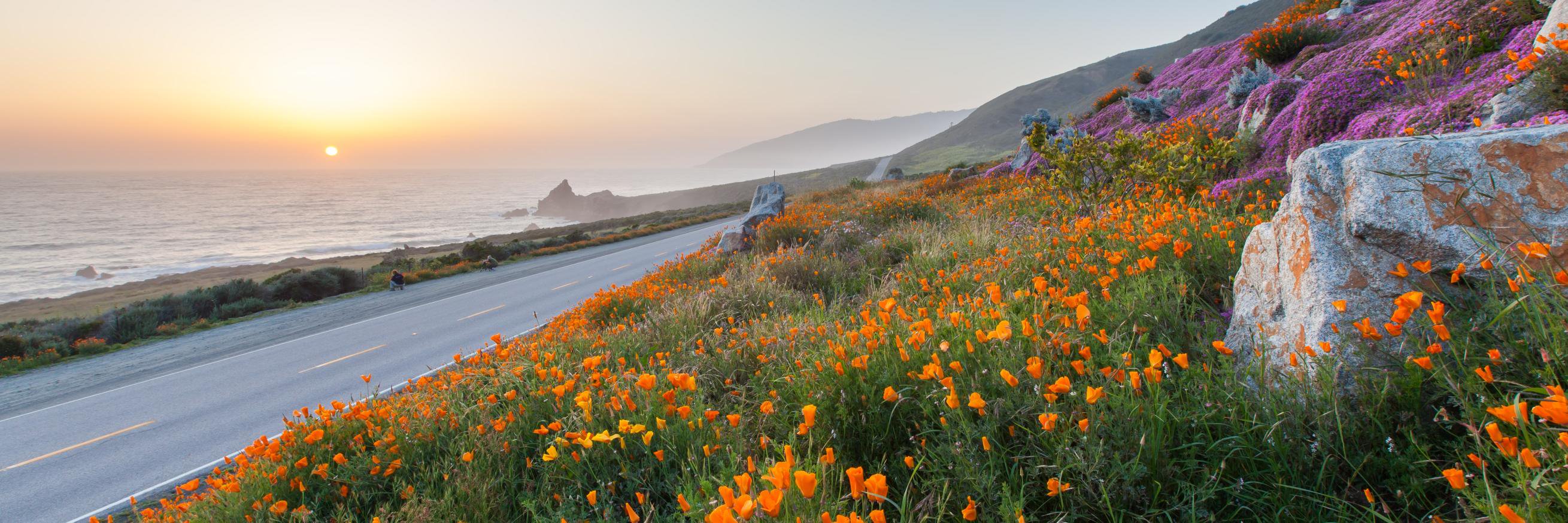 Center for California Studies banner