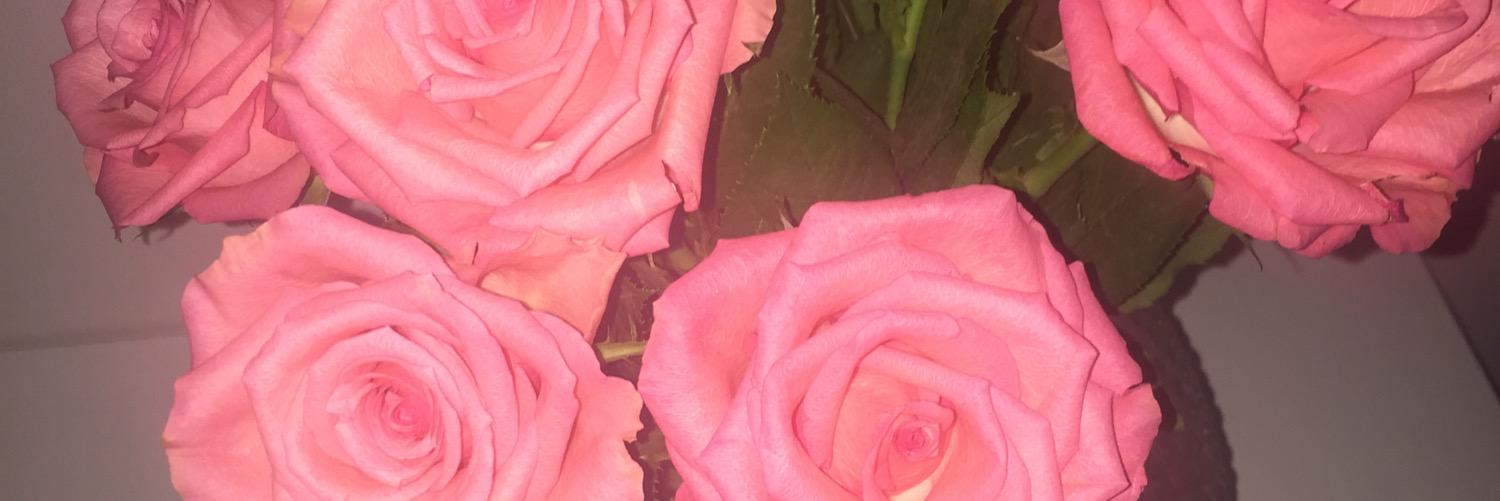 rebeccawikstrom's profile banner image