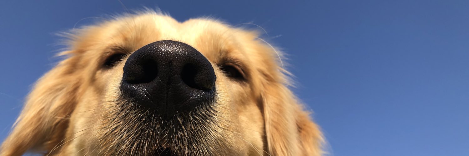 joohnchr's profile banner image
