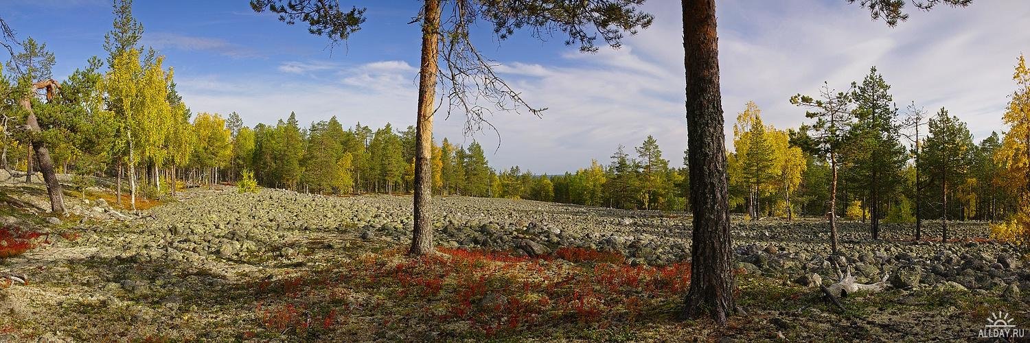 Разносщиковa Рада banner