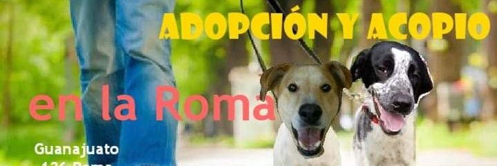garrita_rox's profile banner image