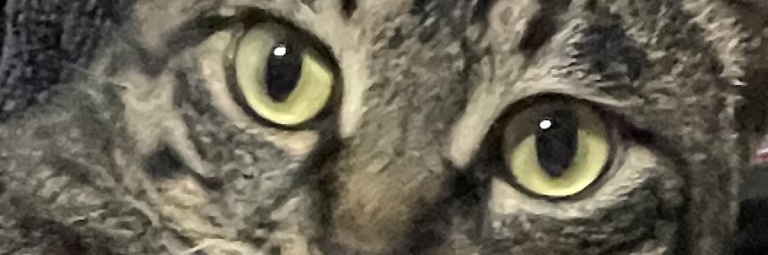 koumetan2's profile banner image