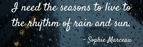 Weatherman of Mumbai banner