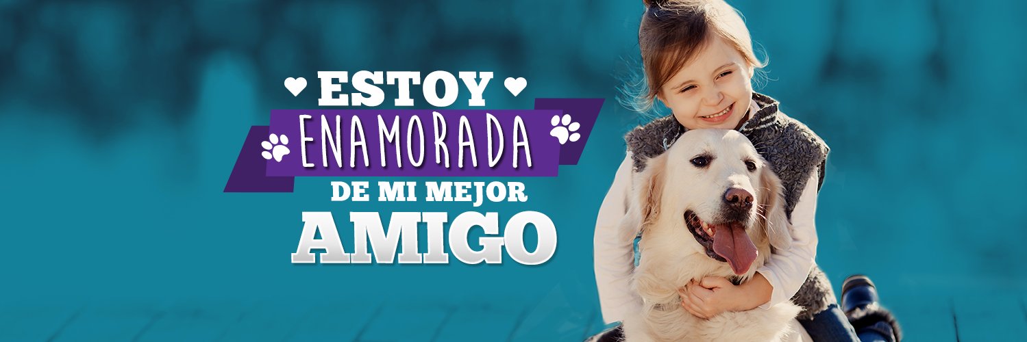 amorpetys's profile banner image