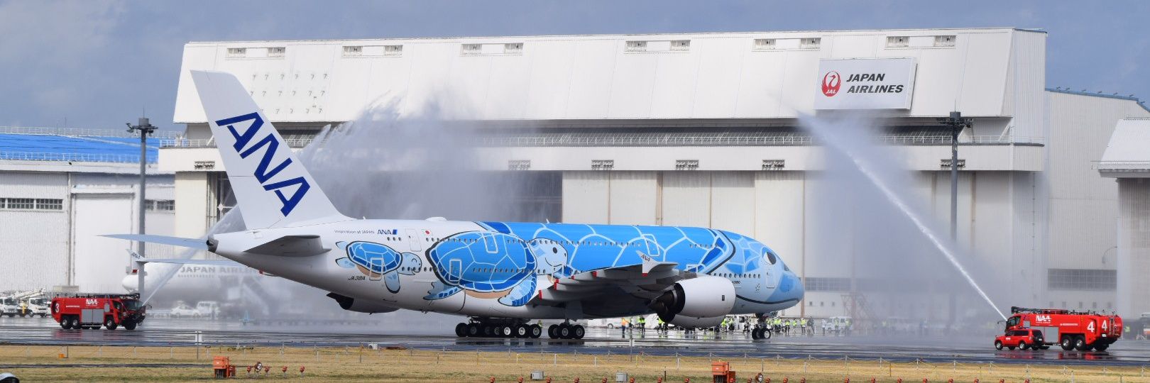 mst_fly787's profile banner image