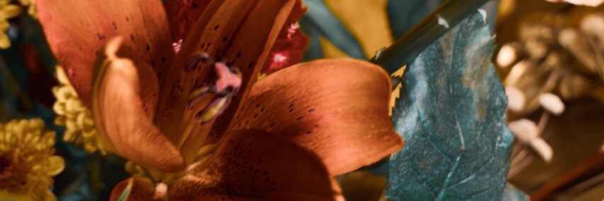 emmacartwright's profile banner image
