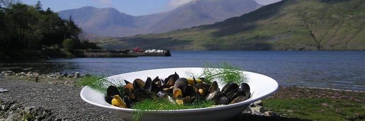 MartysMussels's profile banner image