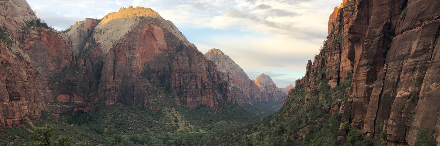 Michelle Cheng banner