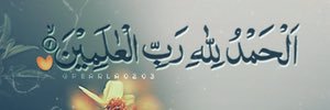 ph_mermaid's profile banner image