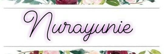 zin_nur's profile banner image