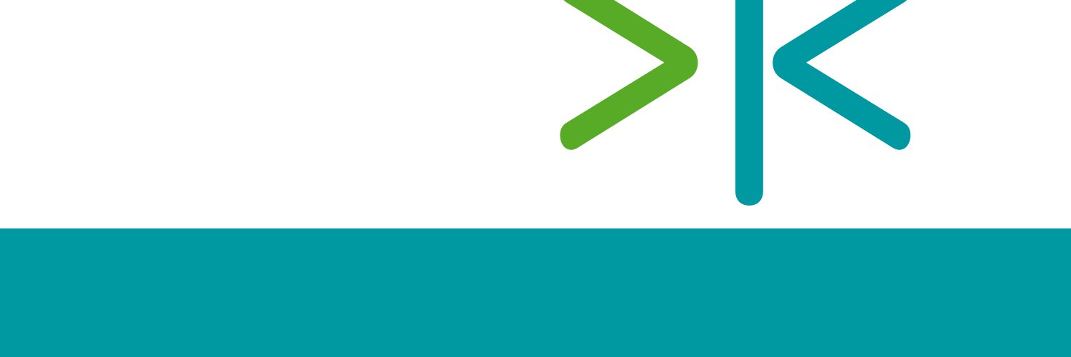 Koppel Advies banner