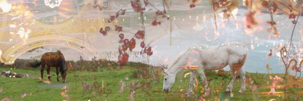 Rossmccormack44 Profile Banner