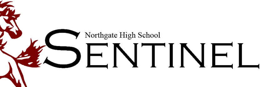 NgSentinel's profile banner image