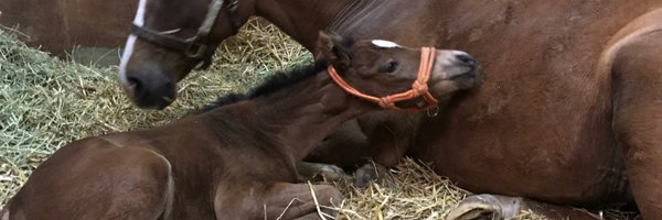 62081992 Profile Banner