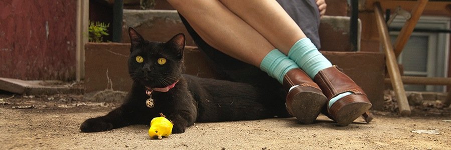 KellzCarr8's profile banner image