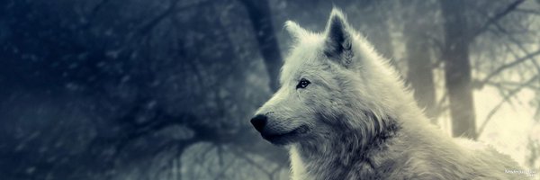 NorthCentralMN Profile Banner