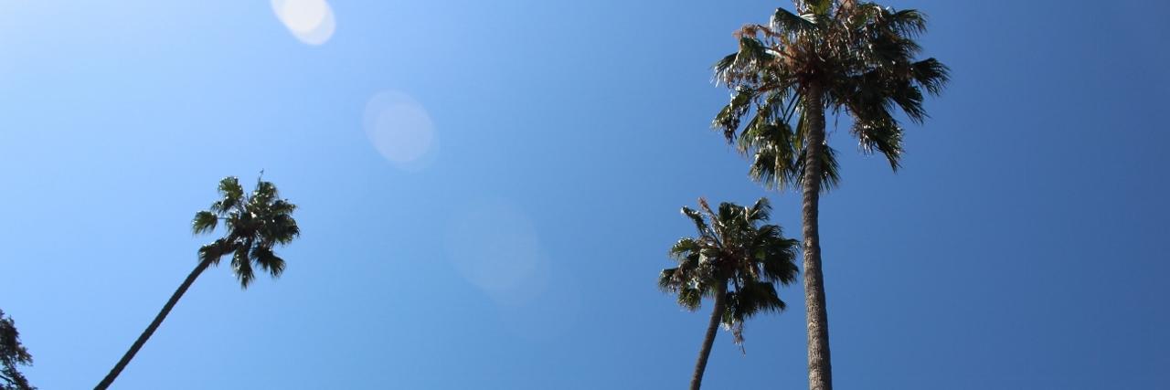 Reisekraniche's profile banner image