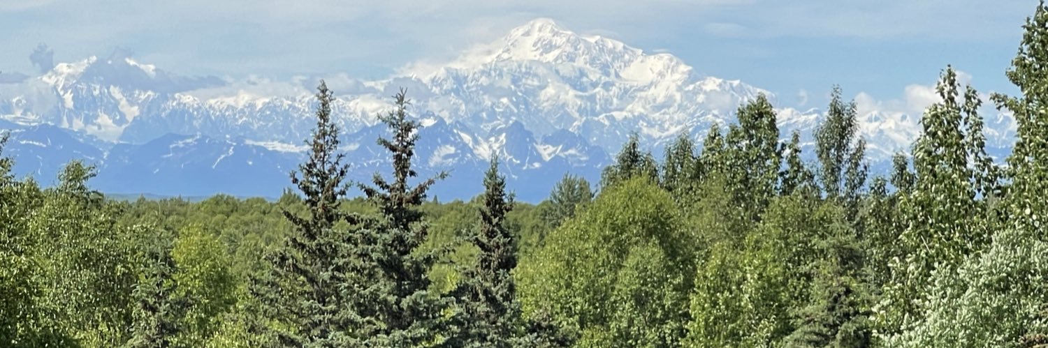 Peace Advocate banner