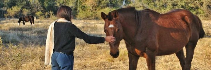 Sofi_Gomez11's profile banner image