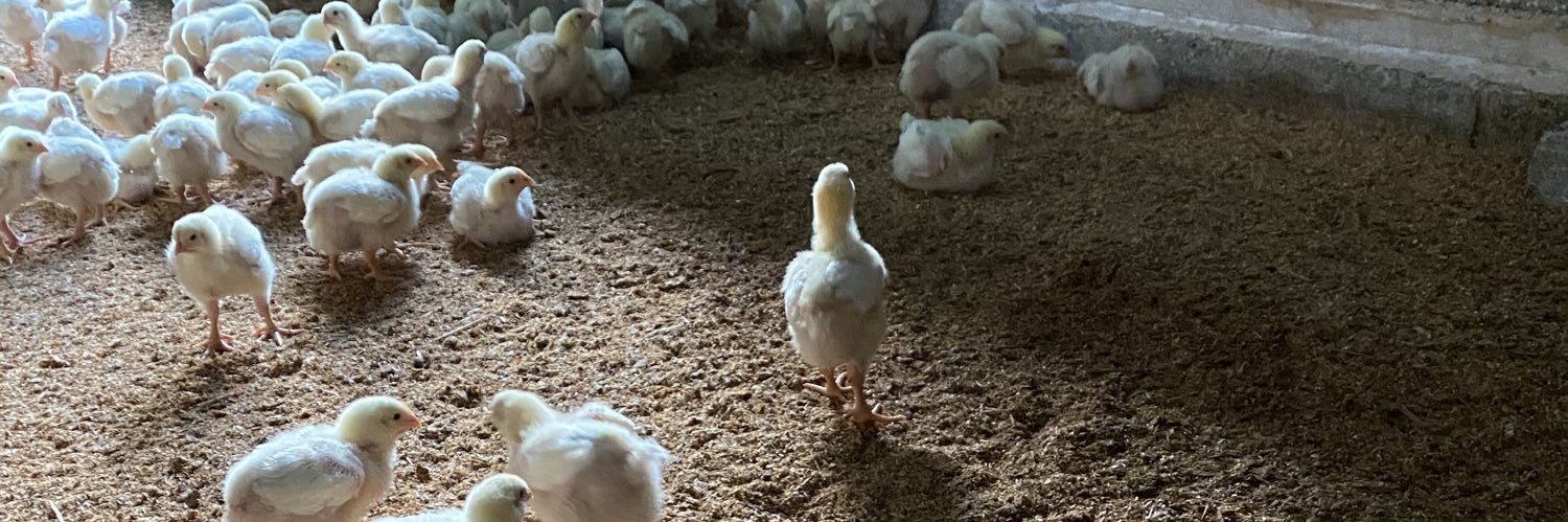 ちゃんきー banner