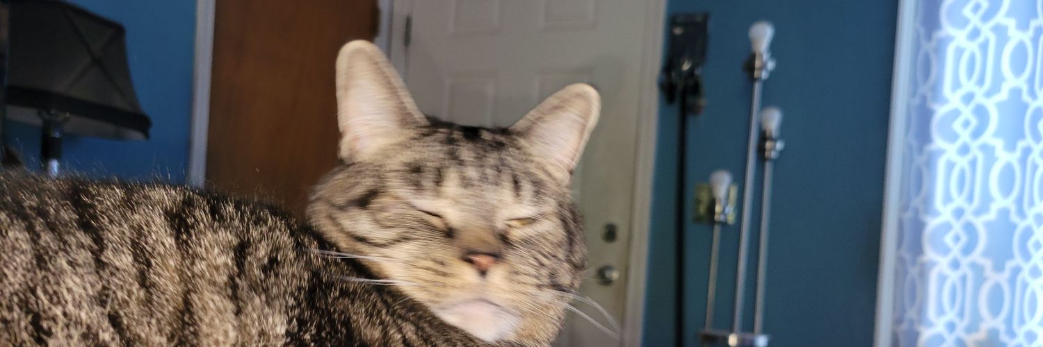 Elizabeth Bogert banner