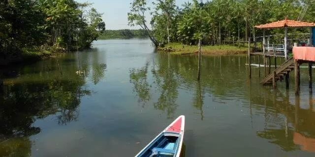 AlmirValente TimBeta banner