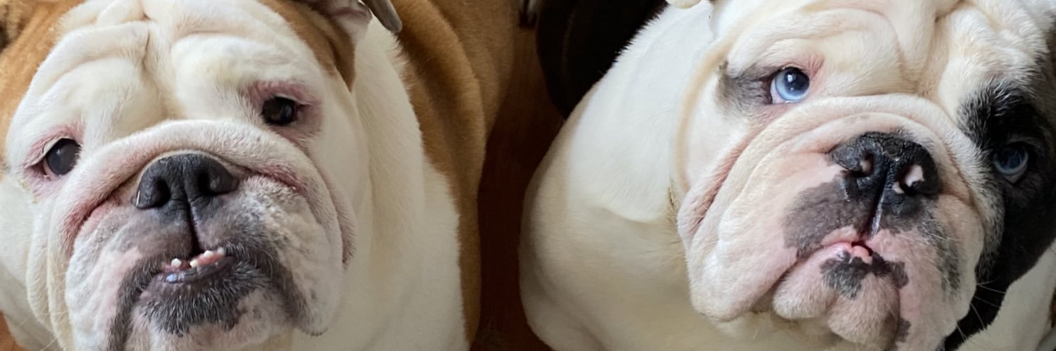 asofiamtzm's profile banner image