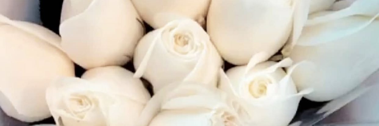 arilynleyba26's profile banner image
