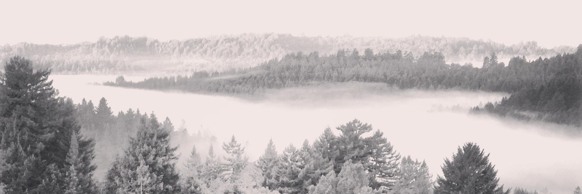 trailmarkerwine's profile banner image