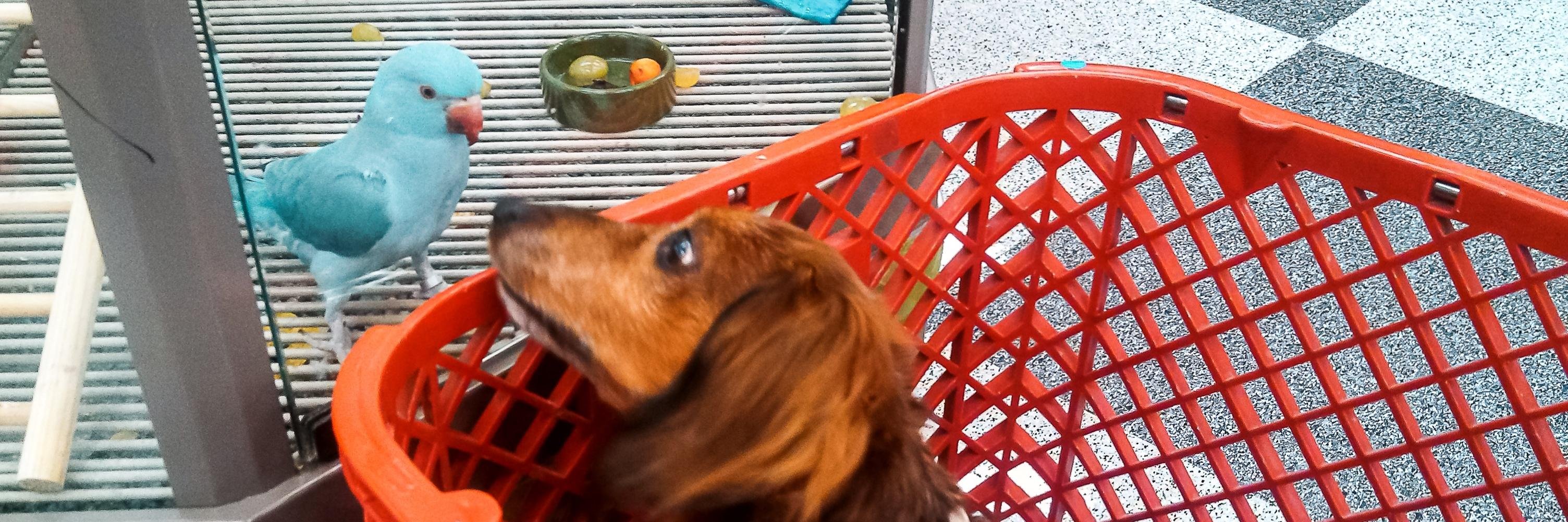 Edward J. Leach banner