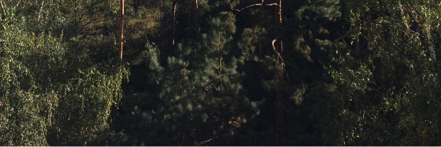 ChiliPoum's profile banner image