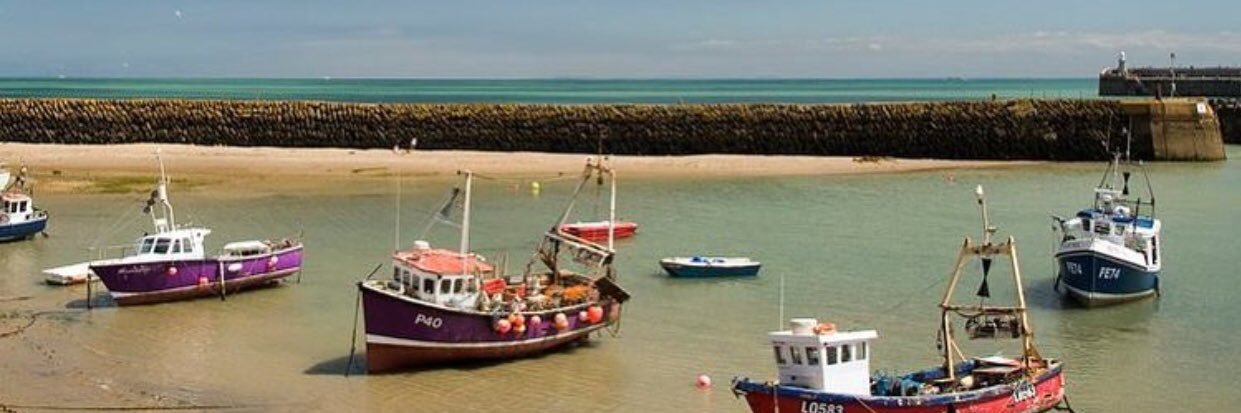 folkestonisbeautiful banner