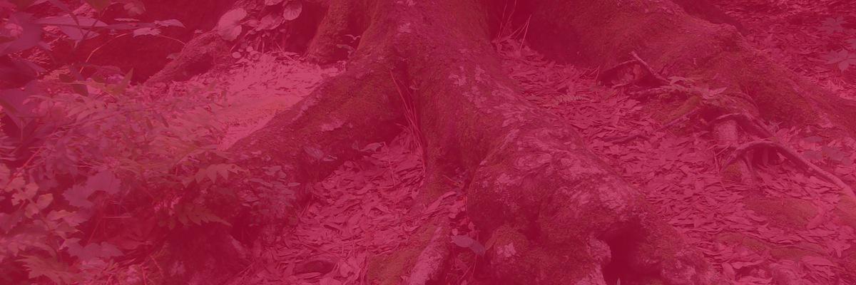 3beestudio's profile banner image