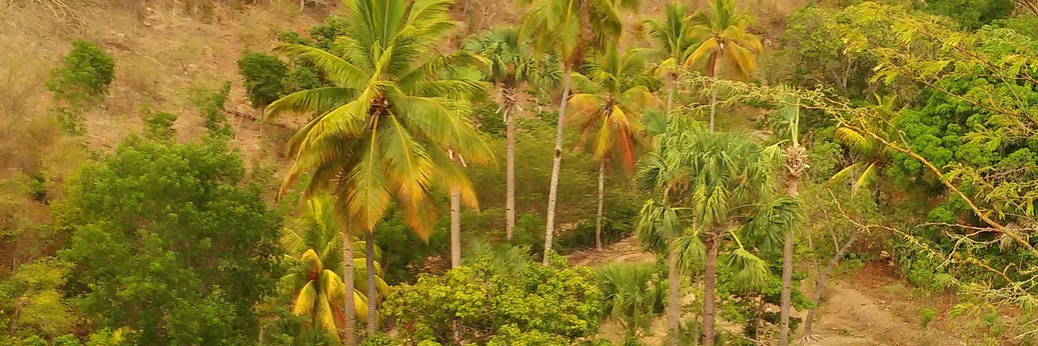 KennyAlmarhtra's profile banner image