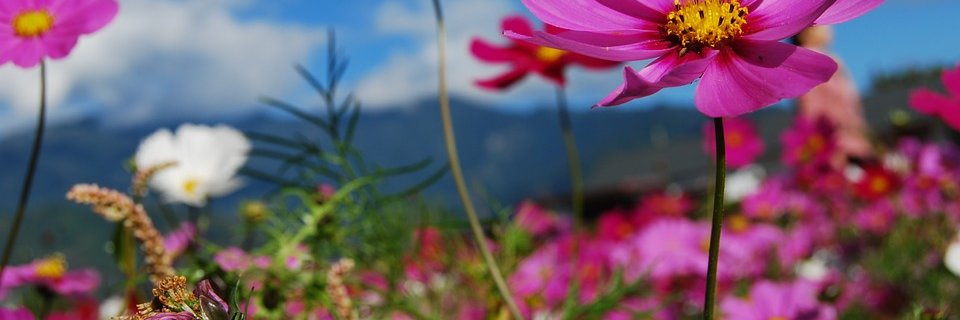 randini0412's profile banner image