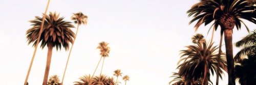 JuliaRPGLSD's profile banner image