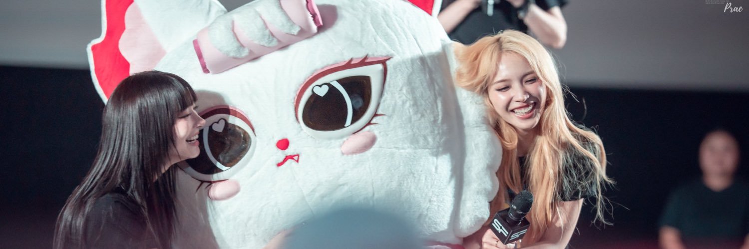 fighting_galls's profile banner image